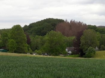 Tour Zu Fuß Bergisch Gladbach - Herrenstrunden Rundweg A2 - Photo