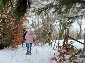 Randonnée Raquettes à neige Bullange - Manderfeld (PVDB) - Photo