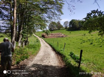 Tour Wandern Valserhône - le plateau de Retord - Photo