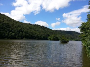 Excursión Senderismo Murol - L ac Chambon Château Murol - Photo