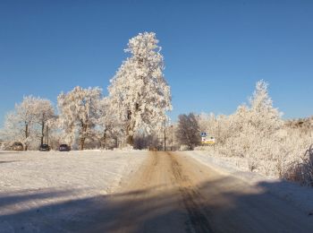 Tocht Te voet  - Runtrack zielony 5 km - Photo