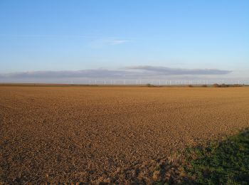 Tocht Te voet Querfurt - Rundweg Hermannseck - Photo