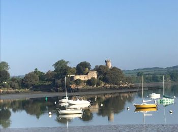 Trail Walking Pleudihen-sur-Rance - 12.05.2019 - Mordreuc.... - Photo