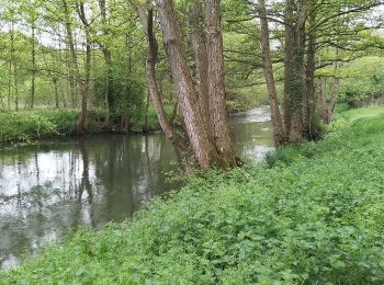 Tour Wandern Bouvaincourt-sur-Bresle - Bouvaincourt sur Bresle  - Photo