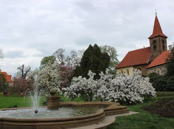 Excursión A pie  - [Ž] Průhonice - Roztyly - Photo