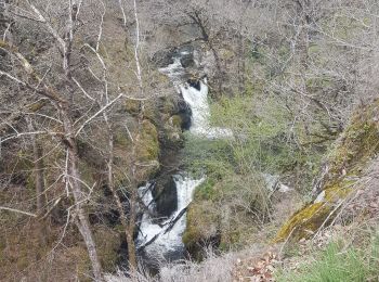 Randonnée Marche Sabadel-Latronquière - gouffre dès cloches - Photo