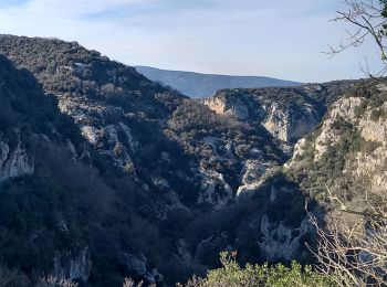 Excursión Senderismo Notre-Dame-de-Londres - Gorges du Lamalou - Photo