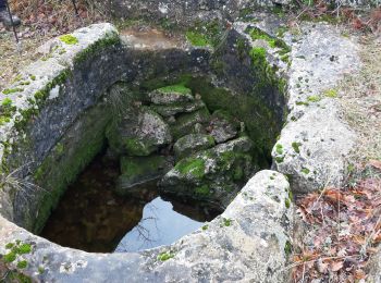 Tour Wandern Villes-sur-Auzon - Villes sur auzon /Bergerie de PIE GROS/LA LAUZE - Photo