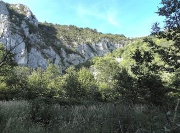 Excursión A pie Sasca Montană - Sasca Română – Cheile Nerei (red triangle) - Photo