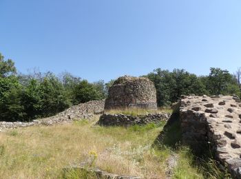 Randonnée Marche Masevaux-Niederbruck - Masevaux-Chateau de Rougemont-Chapelle Ste Catherine  - Photo