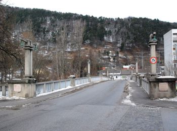 Tocht Te voet Gemeinde Enzenreith - Nemec Runde (Gloggnitz) - Photo