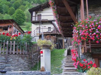 Trail On foot Bobbio Pellice - (SI E24) Villanova Pellice - Ghigo di Prali - Photo