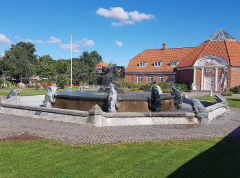 Percorso A piedi  - Sort Kløversti, Vejen - Photo