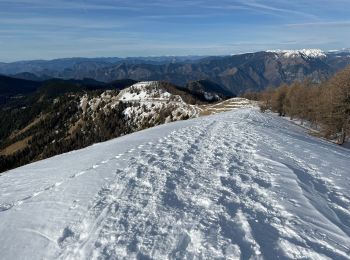 Randonnée Raquettes à neige Moulinet - Baisse Cavaline - Photo