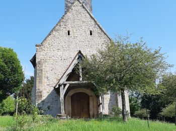 Randonnée Marche Cambremer - Boucle des vergers  - Photo