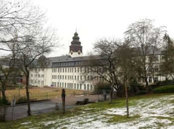 Percorso A piedi Rüdesheim am Rhein - Rundwanderweg Tanne - Photo