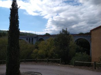 Excursión Senderismo Céret - st Ferriol - Photo