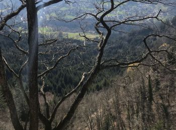 Randonnée Marche Viuz-en-Sallaz - Boucle du Vouants  - Photo