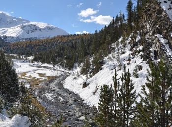 Tocht Te voet Zernez - Punt dal Gal - Punt la Drossa - Photo