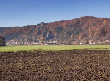 Randonnée A pied Wellheim - Rundwanderweg Wellheim 3 - Photo