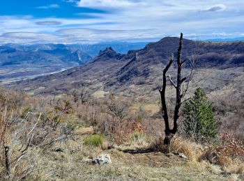 Tour Wandern Noyers-sur-Jabron - SityTrail - NOYERS SUR JABRON  , S Martin  , col S Pierre , cretes de l ane n - Photo