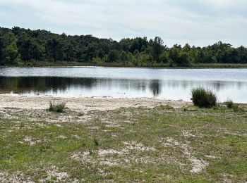 Trail Walking Kalmthout - Heide 24,2 km - Photo