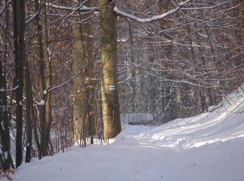 Percorso A piedi Sconosciuto - Szlak przez Słupi Głaz im. Wojciecha Lipniackiego - Photo