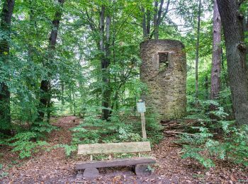 Tocht Te voet Oebisfelde-Weferlingen - Lappwald Rundwanderweg 16 - Photo