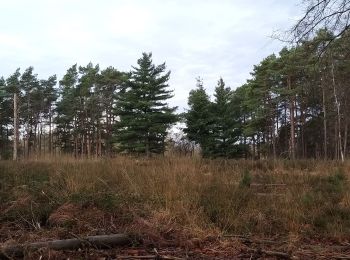 Trail Walking Ottignies-Louvain-la-Neuve - Louvain-la-Neuve 2019 12 17 Nathalie Demain 4 - Photo