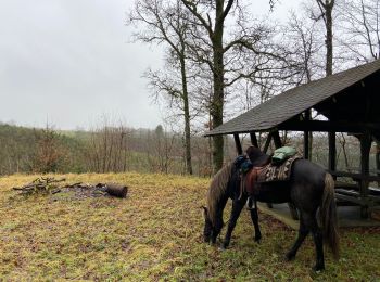 Randonnée Randonnée équestre Paliseul - Fays les Veneurs - Auby - Photo