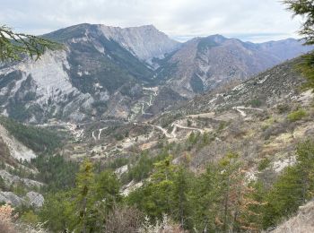 Tocht Stappen Lieuche - Lieuche brec d ilonse - Photo