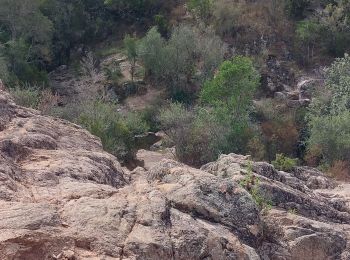 Tocht Stappen Pietrosella - Balade du pénitencier  - Photo