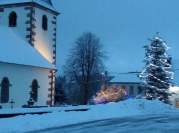 Randonnée Raquettes à neige Sapois - haut du tot raquettes dec2021 - Photo