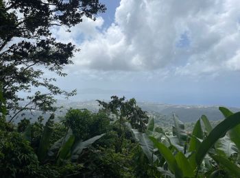 Tocht Noords wandelen Fort-de-France - Morne Césaire  - Photo