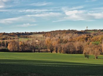 Trail On foot Castelnau-de-Lévis - Castelnau de Levis version courte - Photo