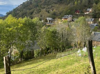 Tocht Stappen Cazaux-Fréchet-Anéran-Camors - Sentier des estimes - Photo