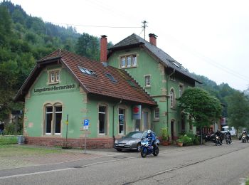 Tour Zu Fuß Forbach - Panorama-Runde – Rund um Forbach - Photo