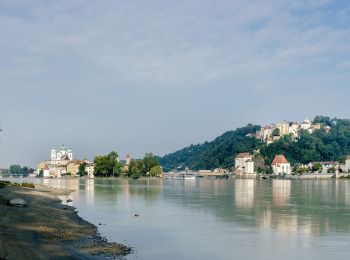 Randonnée A pied Freinberg - Passaublick-Severinsweg - Photo