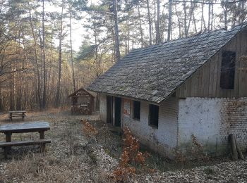 Tocht Te voet Bódvaszilas - PT (Alsó-hegyi zsombolyos tanösvény) - Photo