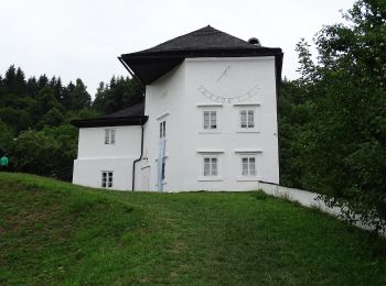 Percorso A piedi okres Banská Bystrica - Malý banský okruh - Photo