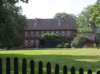 Randonnée A pied Eschede - Südheide 'Reine Luft zu sehen' W18l (lange Tour) - Photo