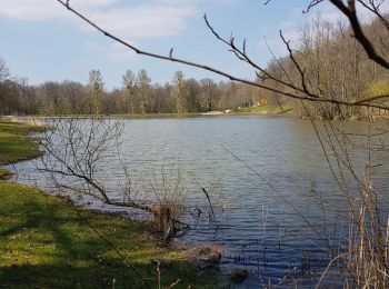 Randonnée Marche Bulgnéville - Bulgneville : Sur les traces du passé - Photo