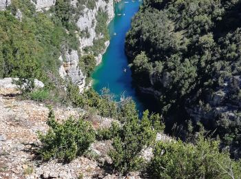 Randonnée Marche Baudinard-sur-Verdon - baudinard - Photo