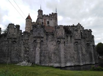 Excursión Senderismo Gante - gand centre historique  - Photo