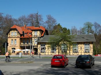 Randonnée A pied  - Erfurter Steigerwald: Rotes Rad - Photo