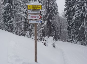 Tocht Langlaufen Mijoux - puthod - Photo