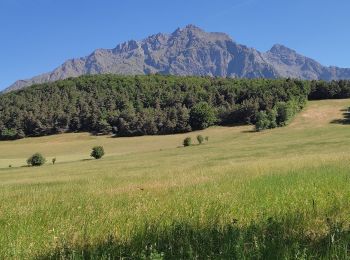 Excursión Senderismo La Motte-en-Champsaur - La Motte le Col de la Blache  - Photo