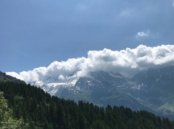 Trail Walking Sainte-Foy-Tarentaise - Du haut du TS grand plan vers arpettaz charme très  - Photo