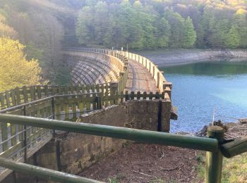 Tour Wandern Urrotz - Sommets et lacs de Leurtza depuis Urrotz. - Photo