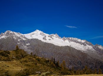 Tour Zu Fuß Spiazzo - IT-O244 - Photo